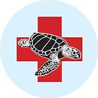 Sea_turtle_hospital-circle-circle-5ae177df4e6634c41f245f024ef4fe91-2rmofhsalwux